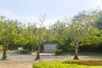 ���ڹ���԰�ֻ��ܲ���԰����԰